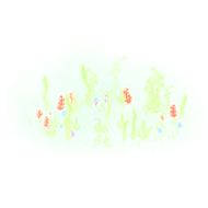 Ocean Reef Particle Image