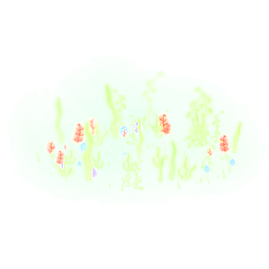 Ocean Reef Particle Image