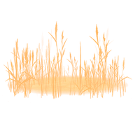 Wheat Field Particle Image