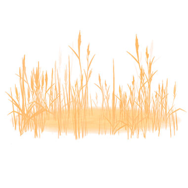 Wheat Field Particle Image