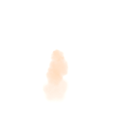 Sandy Particle Image
