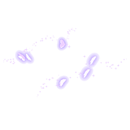Wispful Wings Particle Image
