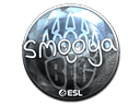Sticker | smooya (Foil) | Katowice 2019 Item Image