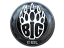 Sticker | BIG (Foil) | Katowice 2019 Item Image