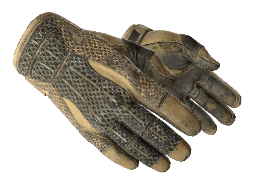 ★ Sport Gloves | Arid (Battle-Scarred) Item Image
