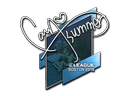Sticker | Summer | Boston 2018 Item Image