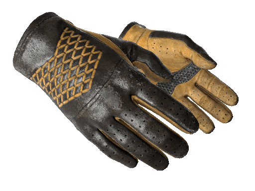 ★ Driver Gloves | Overtake (Well-Worn) Item Image