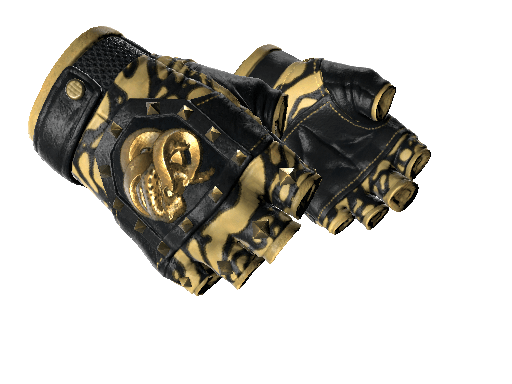 ★ Broken Fang Gloves | Yellow-banded (Minimal Wear) Item Image
