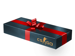 Gift Package Item Image