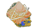 Sticker | ZywOo | Rio 2022 Item Image