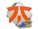 Sticker | Fnatic | Rio 2022 Item Image