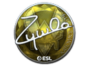 Sticker | ZywOo (Foil) | Katowice 2019 Item Image