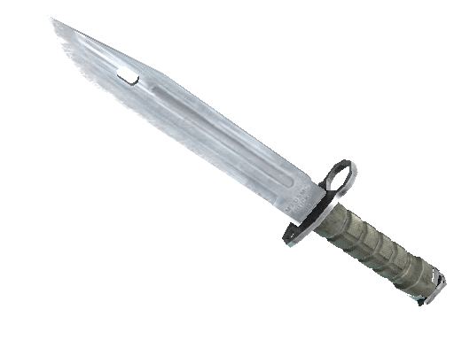 ★ StatTrak™ Bayonet Item Image