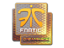Sticker | Fnatic (Holo) | DreamHack 2014 Item Image