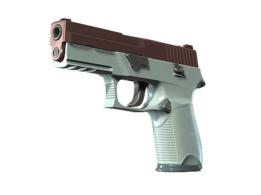 P250 | Copper Oxide (Factory New) Item Image