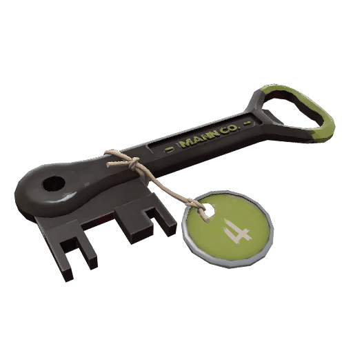 Green Summer 2013 Cooler Key Item Image