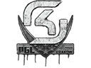 Sealed Graffiti | SK Gaming | Krakow 2017 Item Image