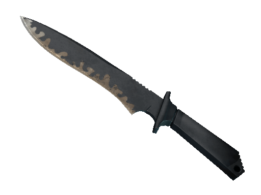 ★ Classic Knife | Night Stripe (Field-Tested) Item Image