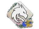 Sticker | Team Spirit | Rio 2022 Item Image