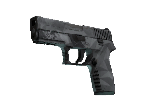 P250 | Facets (Field-Tested) Item Image