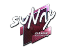Sticker | suNny (Foil) | Boston 2018 Item Image