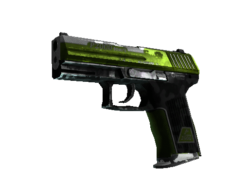 StatTrak™ P2000 | Turf (Battle-Scarred) Item Image