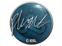 Sticker | flusha | Katowice 2019 Item Image