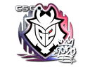 Sticker | G2 (Foil) | 2020 RMR Item Image