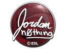 Sticker | n0thing | Katowice 2019 Item Image