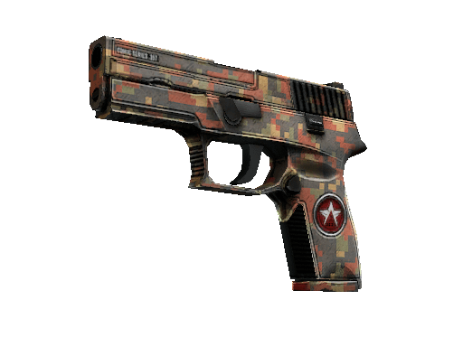 P250 | Red Rock (Field-Tested) Item Image