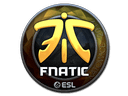 Sticker | Fnatic (Foil) | Katowice 2019 Item Image