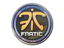 Sticker | Fnatic (Holo) | Cologne 2014 Item Image