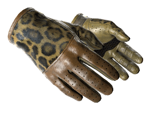 ★ Driver Gloves | Queen Jaguar (Minimal Wear) Item Image