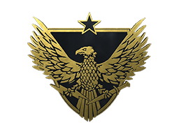 Brigadier General Pin Item Image