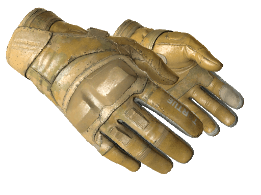 ★ Moto Gloves | Transport (Field-Tested) Item Image