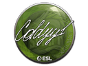 Sticker | COLDYY1 | Katowice 2019 Item Image