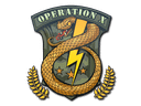Sticker | Badge of Service Item Image