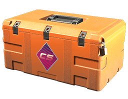 Fever Case Item Image