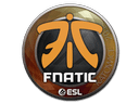 Sticker | Fnatic | Katowice 2019 Item Image