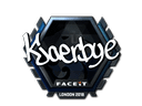 Sticker | Kjaerbye (Foil) | London 2018 Item Image