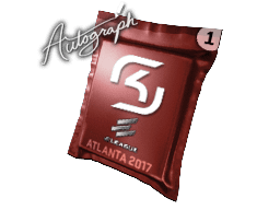 Autograph Capsule | SK Gaming | Atlanta 2017 Item Image