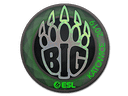 Sticker | BIG (Holo) | Katowice 2019 Item Image