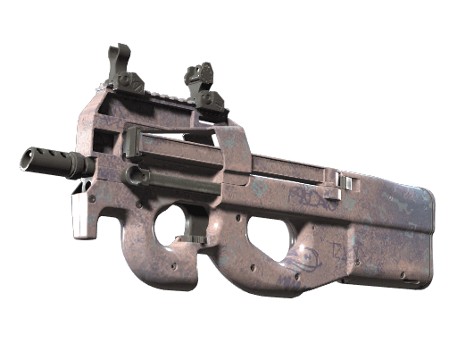 P90 | Wash me (Factory New) Item Image