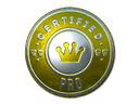 Sticker | The Pro (Foil) Item Image