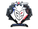 Sticker | G2 Esports (Foil) | Berlin 2019 Item Image