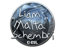 Sticker | malta (Foil) | Katowice 2019 Item Image