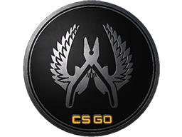 Guardian Elite Pin Item Image