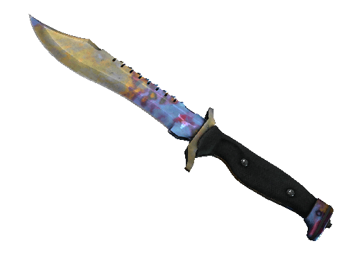 ★ StatTrak™ Bowie Knife | Case Hardened (Well-Worn) Item Image