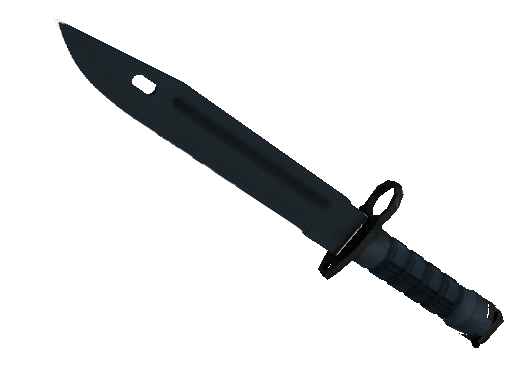 ★ Bayonet | Night (Minimal Wear) Item Image