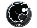 Sticker | FURIA (Foil) | Katowice 2019 Item Image